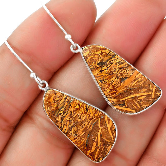 Natural Coquina Fossil Jasper India Earrings E-1001 SDE62469