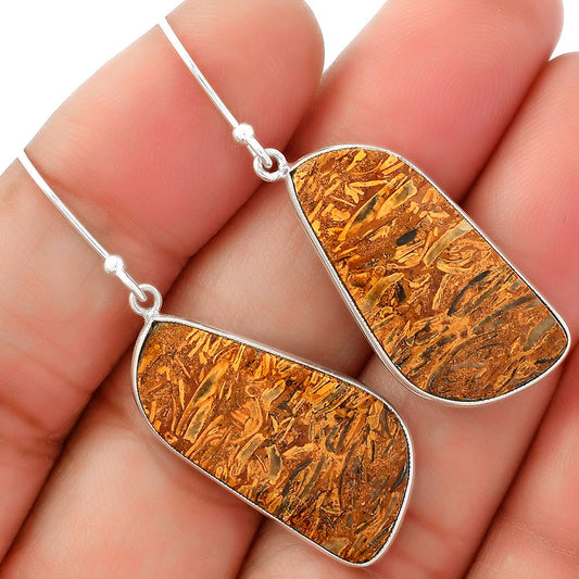 Natural Coquina Fossil Jasper India Earrings E-1001 SDE62470