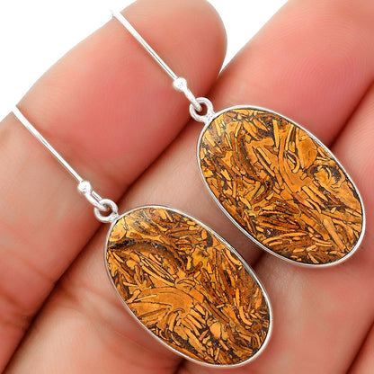 Natural Coquina Fossil Jasper India Earrings E-1001 SDE62472