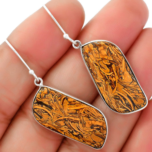Natural Coquina Fossil Jasper India Earrings E-1001 SDE62476