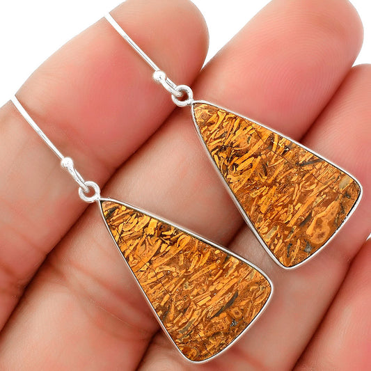 Natural Coquina Fossil Jasper India Earrings E-1001 SDE62477