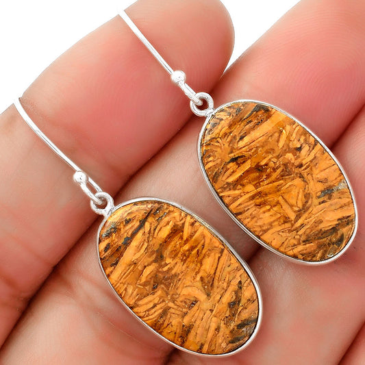 Natural Coquina Fossil Jasper India Earrings E-1001 SDE62478