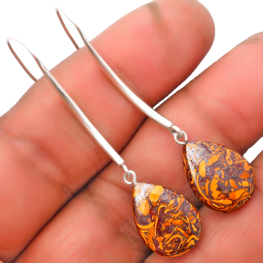 Natural Coquina Fossil Jasper India Earrings E-1095 SDE62699