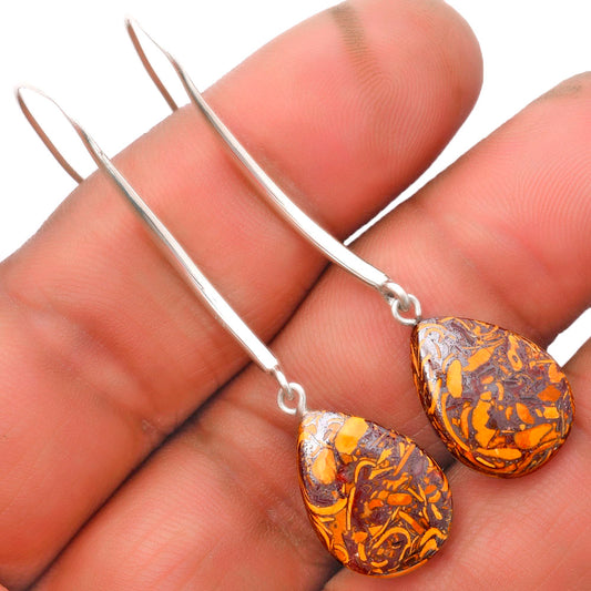 Natural Coquina Fossil Jasper India Earrings E-1095 SDE62699