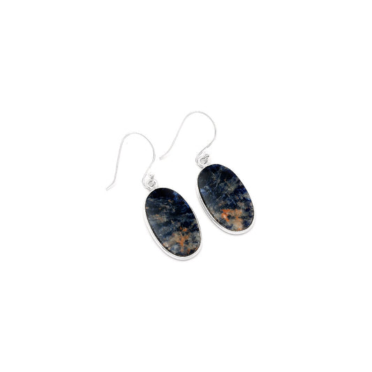 Natural Sodalite Earrings E-1001 SDE62939