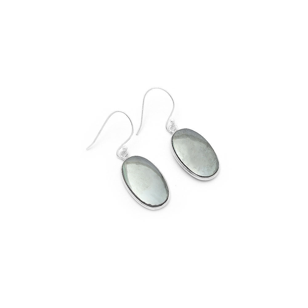 Natural Gunmetal Earrings E-1001 SDE63241