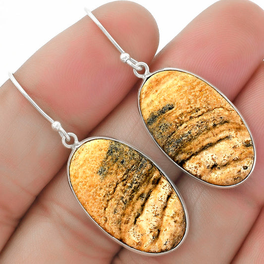 Natural Picture Jasper Earrings E-1001 SDE64591