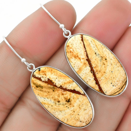 Natural Picture Jasper Earrings E-1001 SDE64664