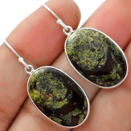 Dragon Blood Stone - South Africa Earrings E-1001 SDE65922
