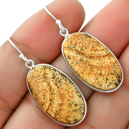Natural Picture Jasper Earrings E-1001 SDE66016