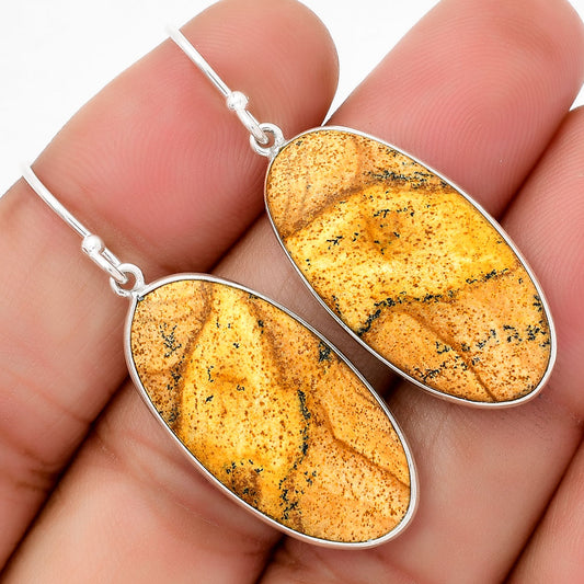 Natural Picture Jasper Earrings E-1001 SDE67695