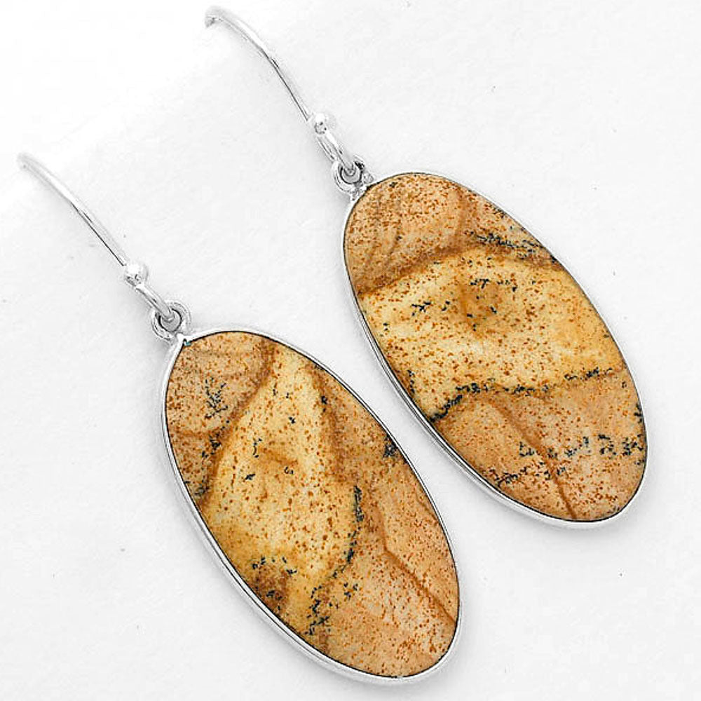 Natural Picture Jasper Earrings E-1001 SDE67695