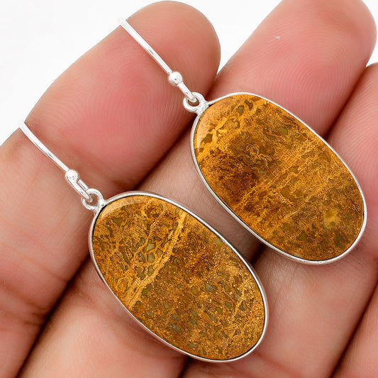 Natural Palm Root Fossil Agate Earrings E-1001 SDE67707