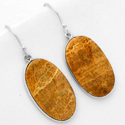 Natural Palm Root Fossil Agate Earrings E-1001 SDE67707