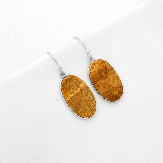 Natural Palm Root Fossil Agate Earrings E-1001 SDE67707