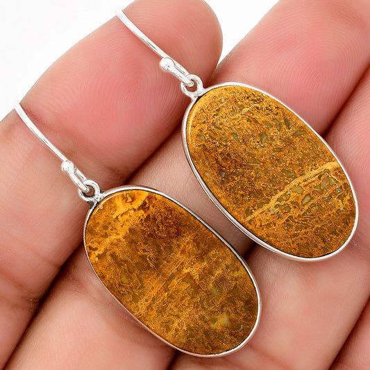 Natural Palm Root Fossil Agate Earrings E-1001 SDE67936