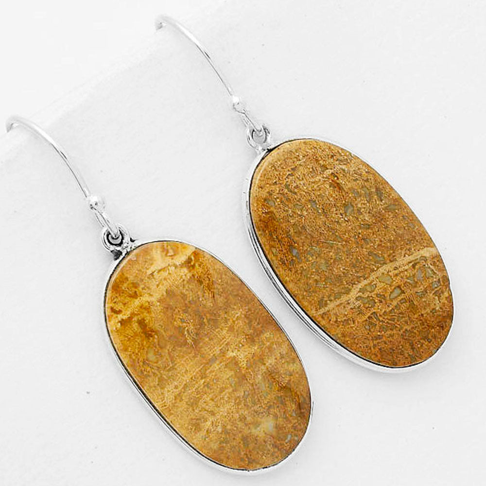 Natural Palm Root Fossil Agate Earrings E-1001 SDE67936