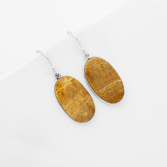 Natural Palm Root Fossil Agate Earrings E-1001 SDE67936