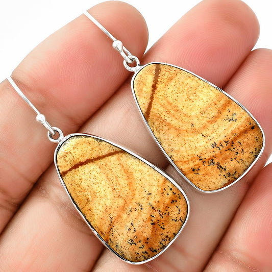 Natural Picture Jasper Earrings E-1001 SDE68720