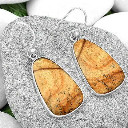Natural Picture Jasper Earrings E-1001 SDE68720