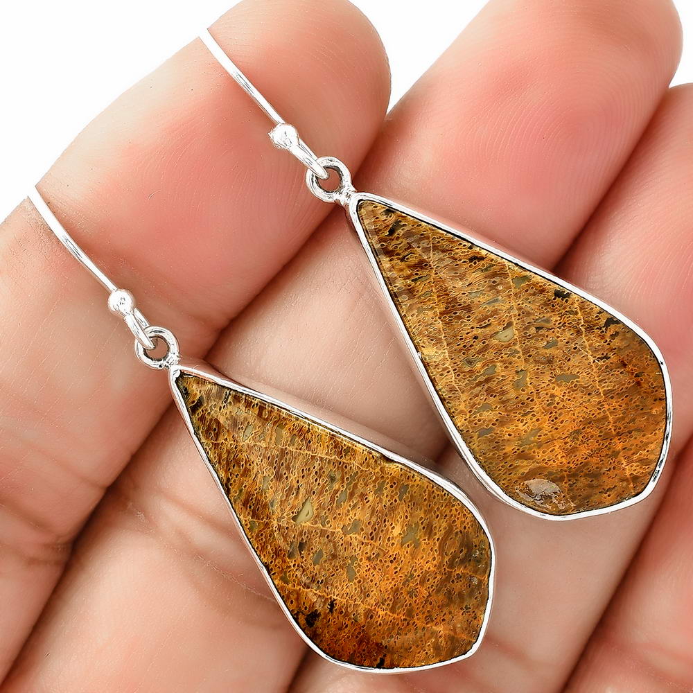 Natural Palm Root Fossil Agate Earrings E-1001 SDE68755