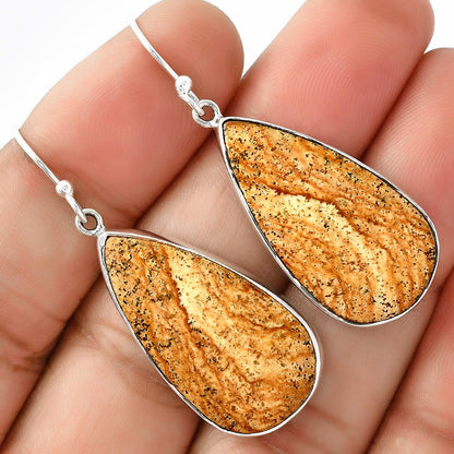 Natural Picture Jasper Earrings E-1001 SDE68756