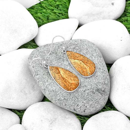 Natural Picture Jasper Earrings E-1001 SDE68756