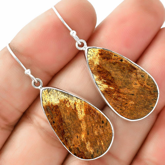 Natural Palm Root Fossil Agate Earrings E-1001 SDE68780