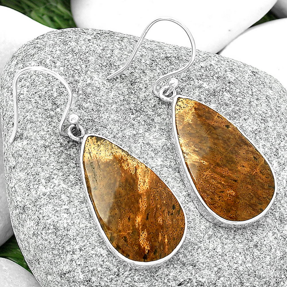 Natural Palm Root Fossil Agate Earrings E-1001 SDE68780