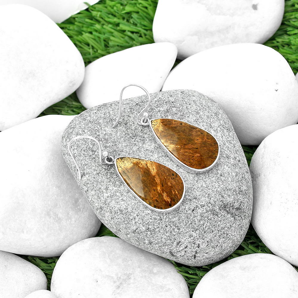 Natural Palm Root Fossil Agate Earrings E-1001 SDE68780