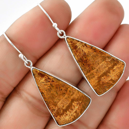 Natural Palm Root Fossil Agate Earrings E-1001 SDE68785