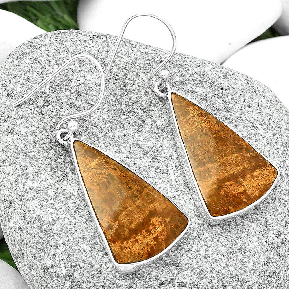 Natural Palm Root Fossil Agate Earrings E-1001 SDE68785