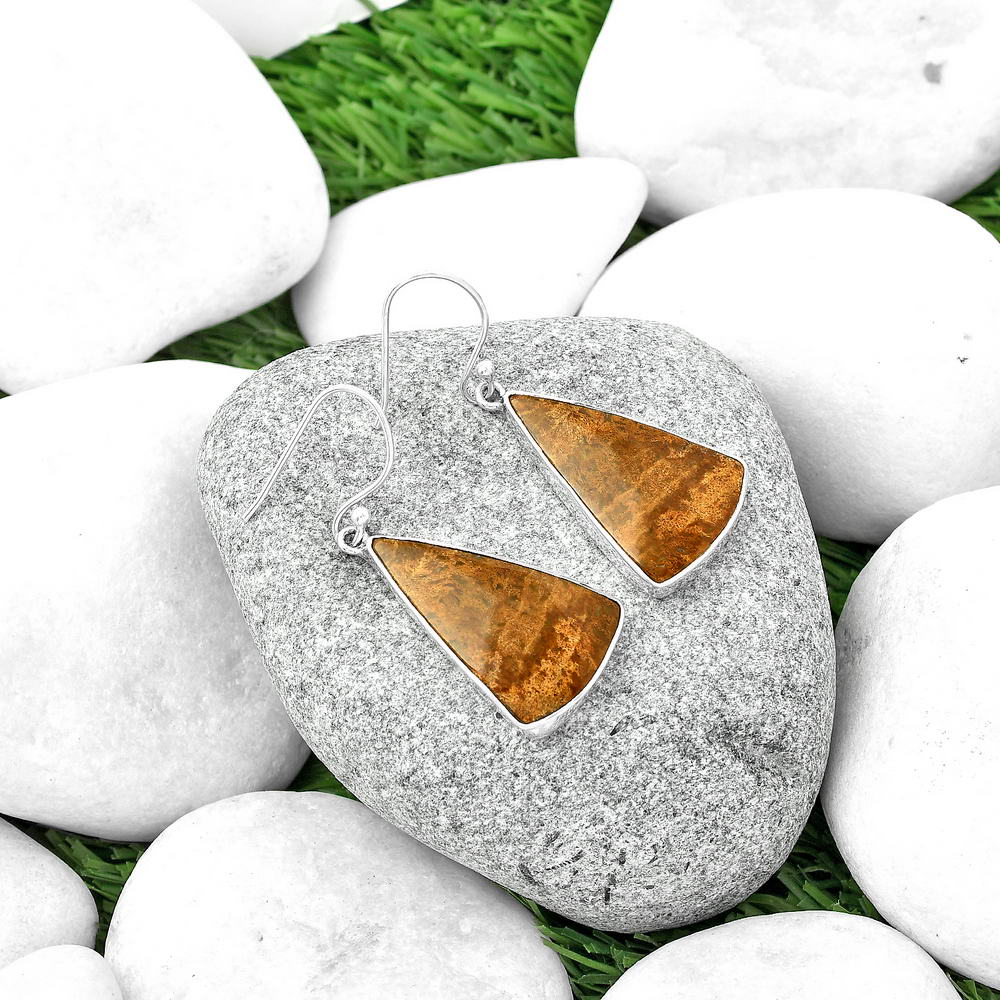 Natural Palm Root Fossil Agate Earrings E-1001 SDE68785