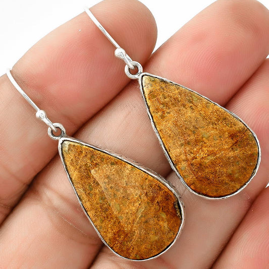 Natural Palm Root Fossil Agate Earrings E-1001 SDE68835