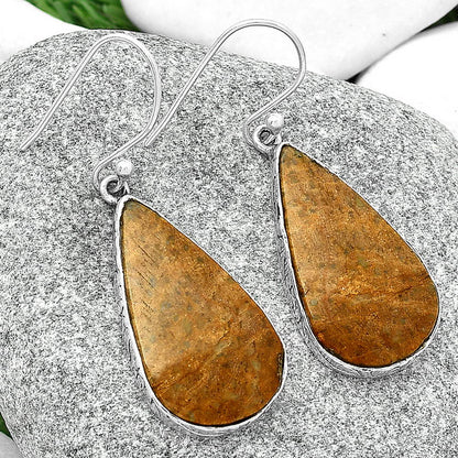 Natural Palm Root Fossil Agate Earrings E-1001 SDE68835