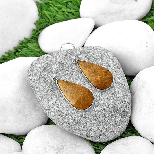 Natural Palm Root Fossil Agate Earrings E-1001 SDE68835