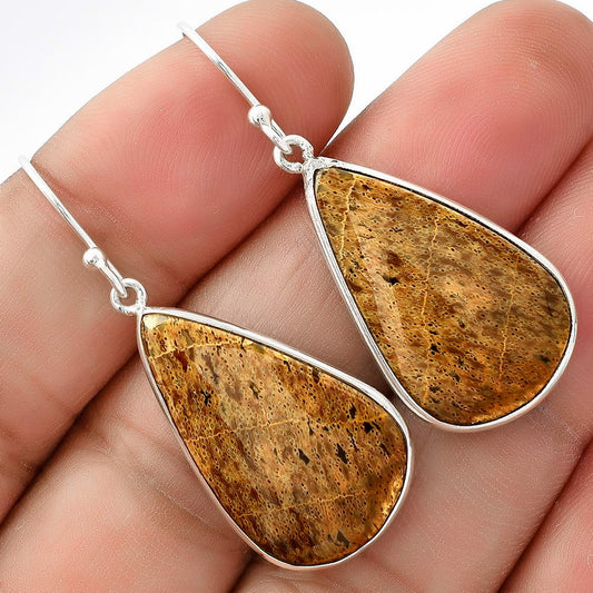 Natural Palm Root Fossil Agate Earrings E-1001 SDE69030