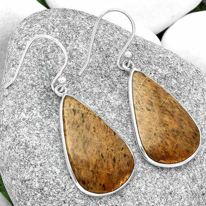 Natural Palm Root Fossil Agate Earrings E-1001 SDE69030