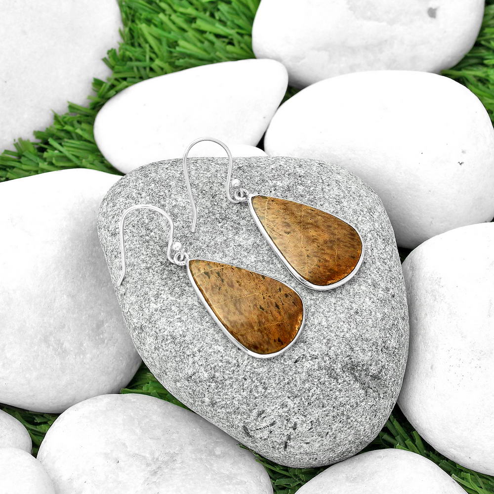 Natural Palm Root Fossil Agate Earrings E-1001 SDE69030