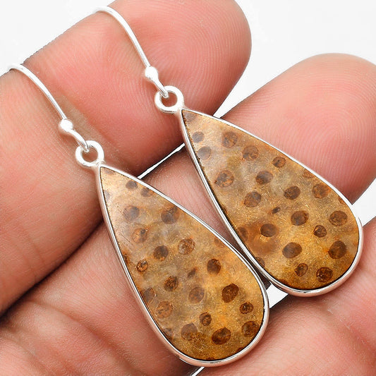 Natural Palm Root Fossil Agate Earrings E-1001 SDE69904