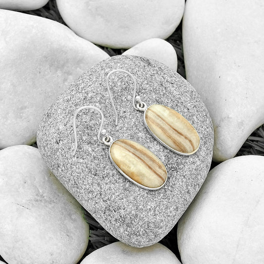 Natural Brown Aragonite Earrings E-1001 SDE70431