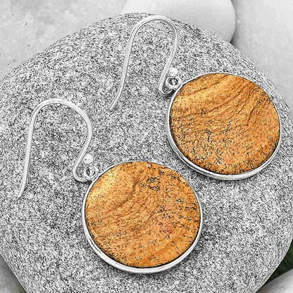 Natural Picture Jasper Earrings E-1001 SDE70848