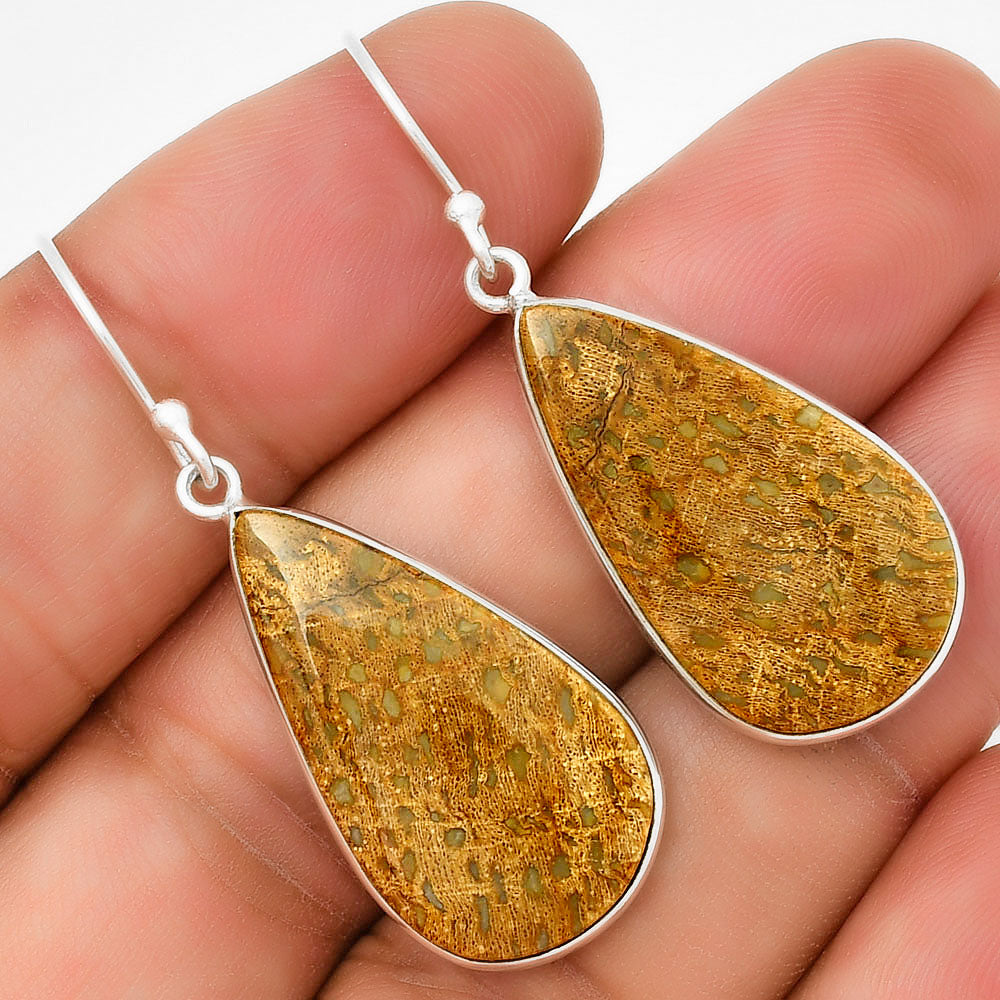 Natural Palm Root Fossil Agate Earrings E-1001 SDE71653