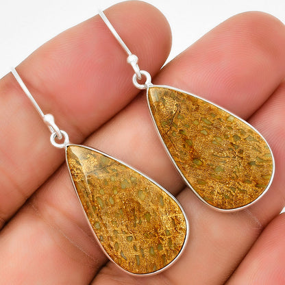 Natural Palm Root Fossil Agate Earrings E-1001 SDE71653