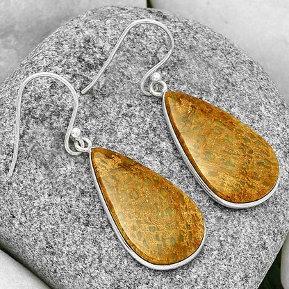 Natural Palm Root Fossil Agate Earrings E-1001 SDE71653