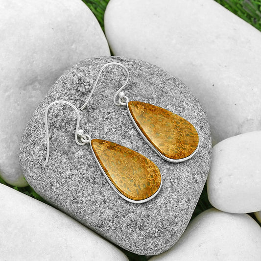 Natural Palm Root Fossil Agate Earrings E-1001 SDE71653