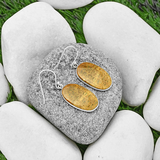 Natural Palm Root Fossil Agate Earrings E-1001 SDE72279