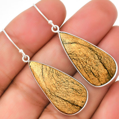 Natural Picture Jasper Earrings E-1001 SDE72293