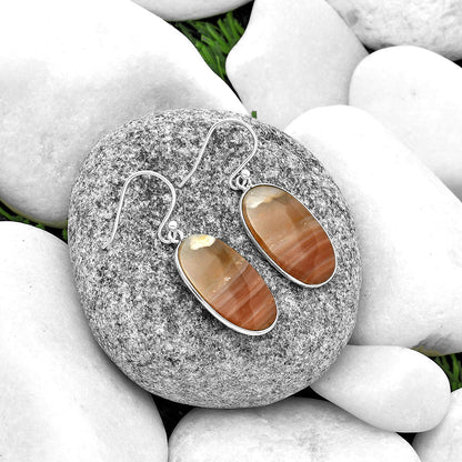 Natural Imperial Dedise Jasper Earrings E-1001 SDE74793