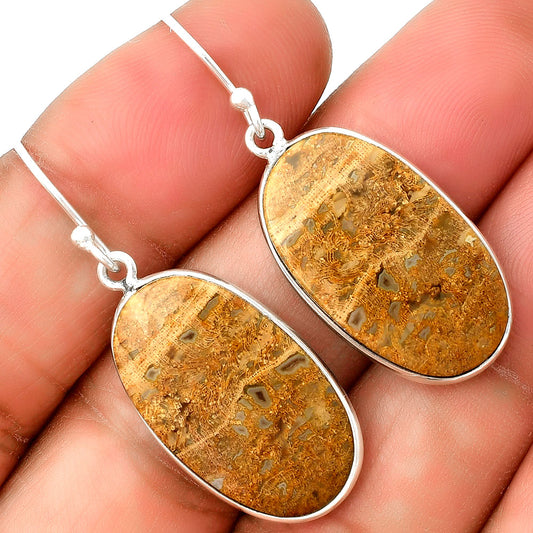 Natural Palm Root Fossil Agate Earrings E-1001 SDE74819